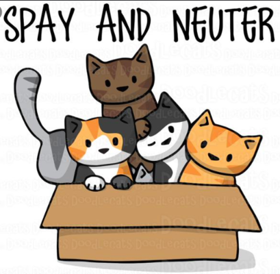 Options are available locally for assistance to spay, neuter cats