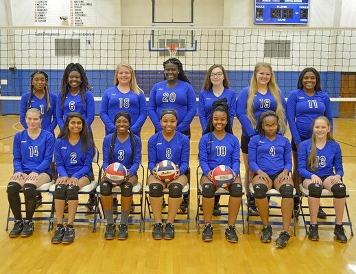 Pictured are members of the Fulton High School 2018 volleyball team. (Photo by Benita Fuzzell)