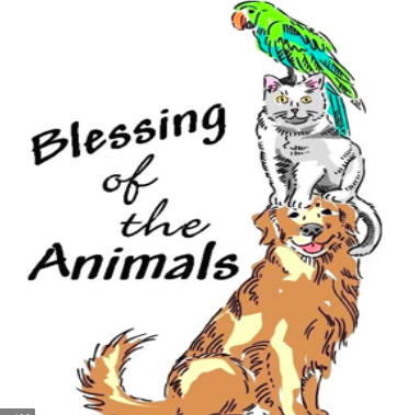 BLESSING OF THE ANIMALS THIS SUNDAY