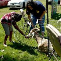 Fulton County High School’s FFA set up a “petting zoo” with goats and youngsters could also feed the goats on Sept. 7. (Photo by Barbara Atwill)